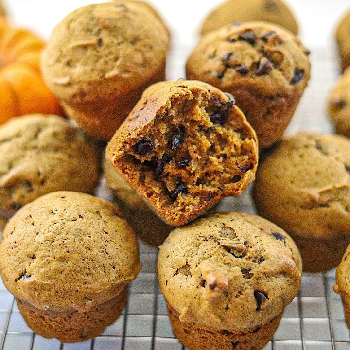 pumpkin spiced chocolate chip muffins with pumpkin in background on wire rack