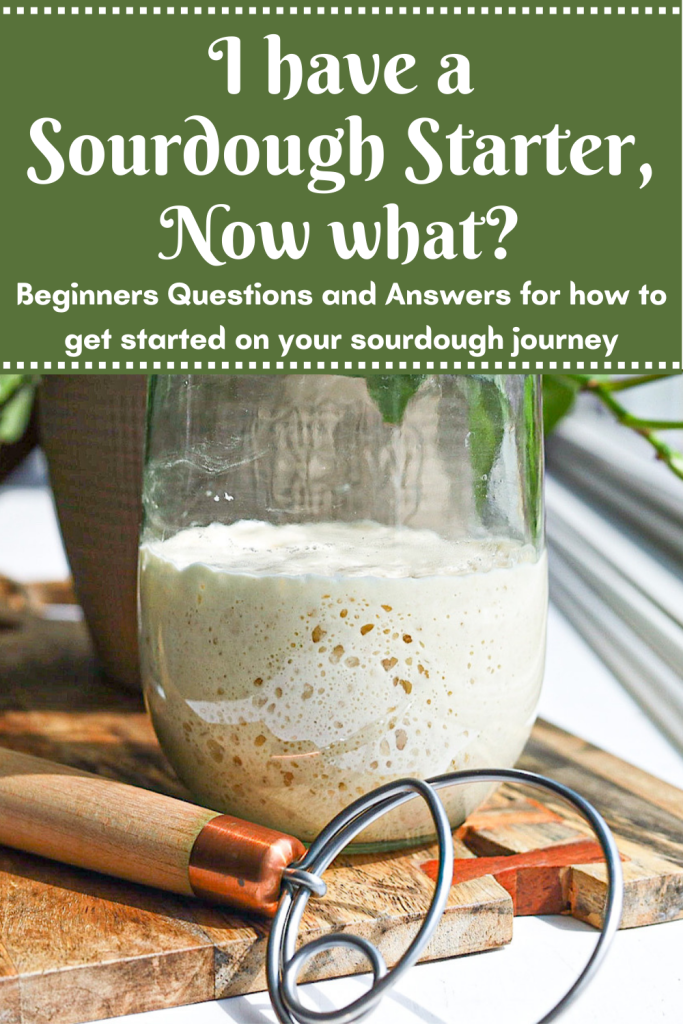 I Have a Sourdough Starter, Now What? - Simple is Gourmet