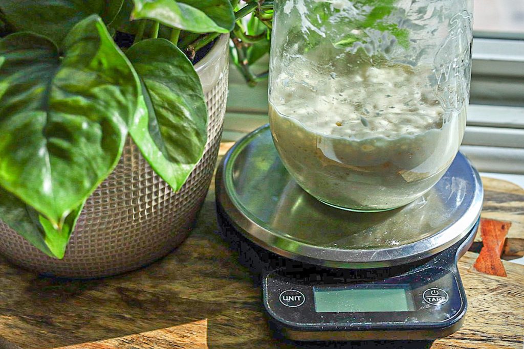 https://simpleisgourmet.com/wp-content/uploads/2023/03/I-have-a-sourdough-starter-now-what-sourdough-starter-on-kitchen-scale-with-plant-simple-is-gourmet-1024x683.jpg