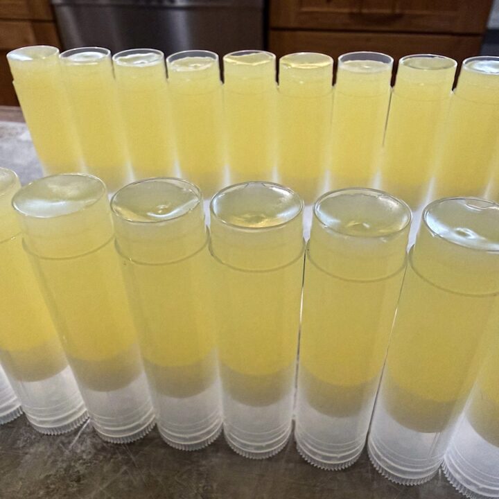 How to make whipped beef tallow chapstick